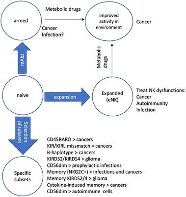 Non-Genetically Improving the Natural Cytotoxicity of Natural Killer (NK) Cells